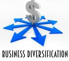 Business Diversification