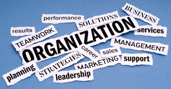 Essential features of an organization