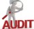 Audit Programme
