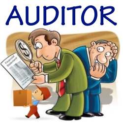 criminal liabilities of an auditor under companies act 1956