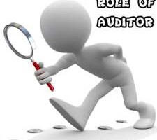 Role of auditor