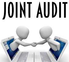 Joint Audit