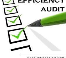 Efficiency Audit