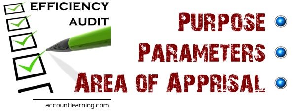 Efficiency Audit - Purpose, Parameters, Area of Appraisal