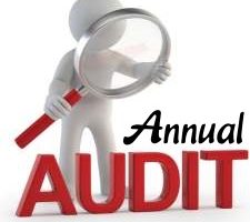 Annual Audit