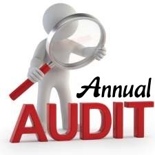 advantages and disadvantages of balance sheet audit