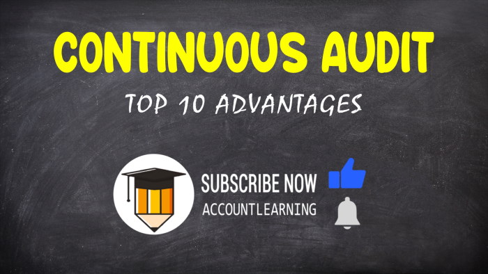advantages of Continuous Audit