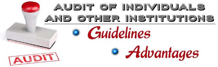 Audit of Individuals and Other Institutions