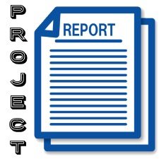 managerial economics project report
