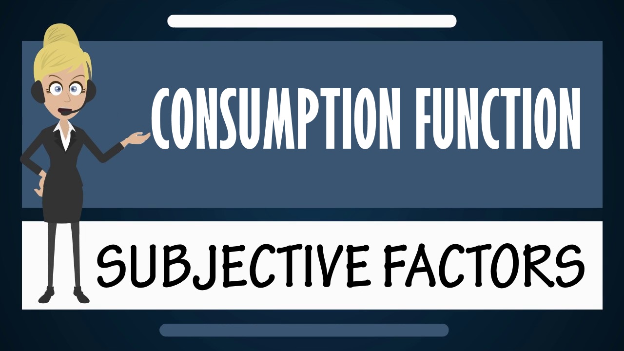 Consumption function - Subjective Factors