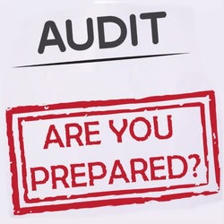 Preparations before audit1