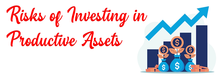 Risks of Investing in Productive Assets